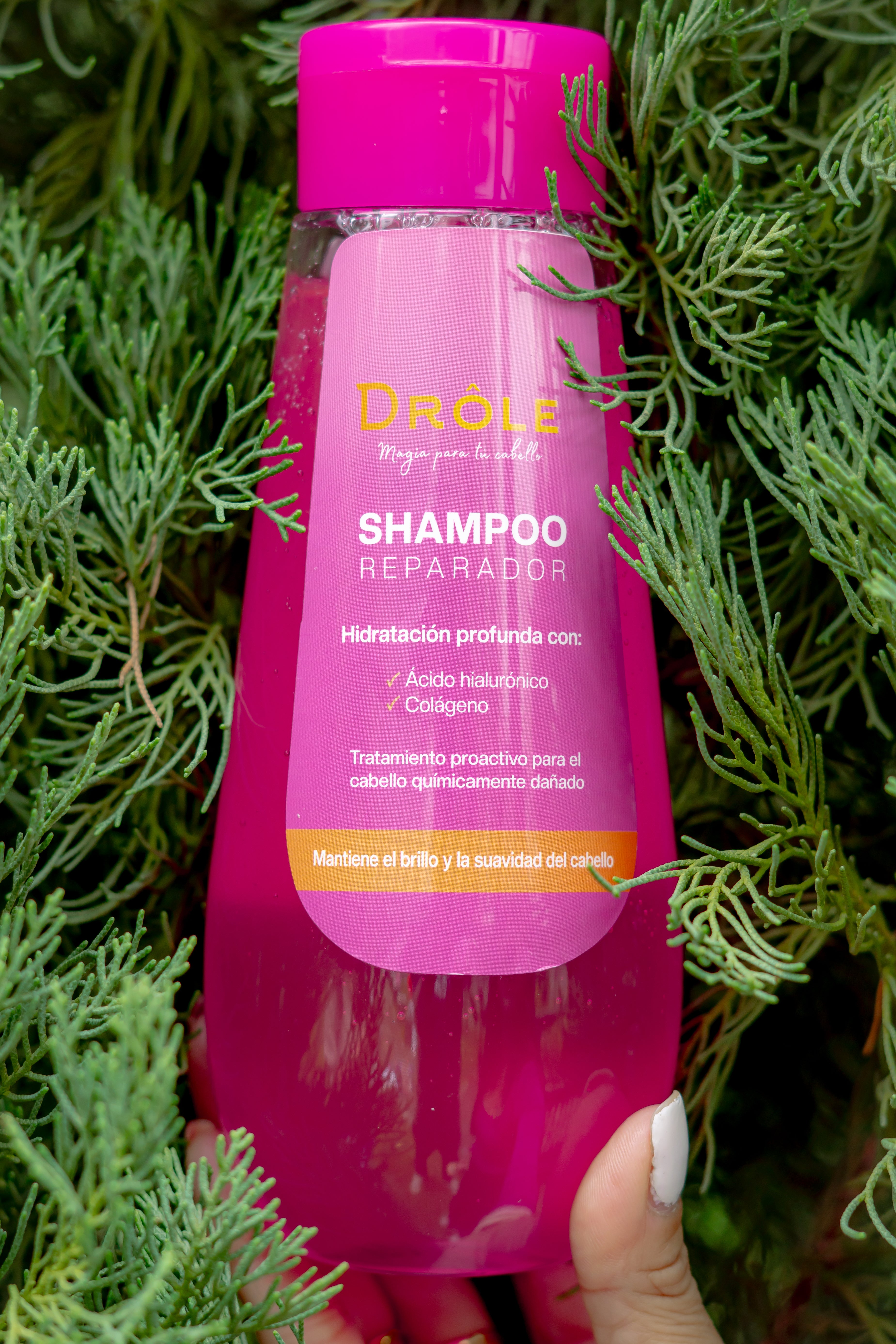 Shampoo Reparador Drôle